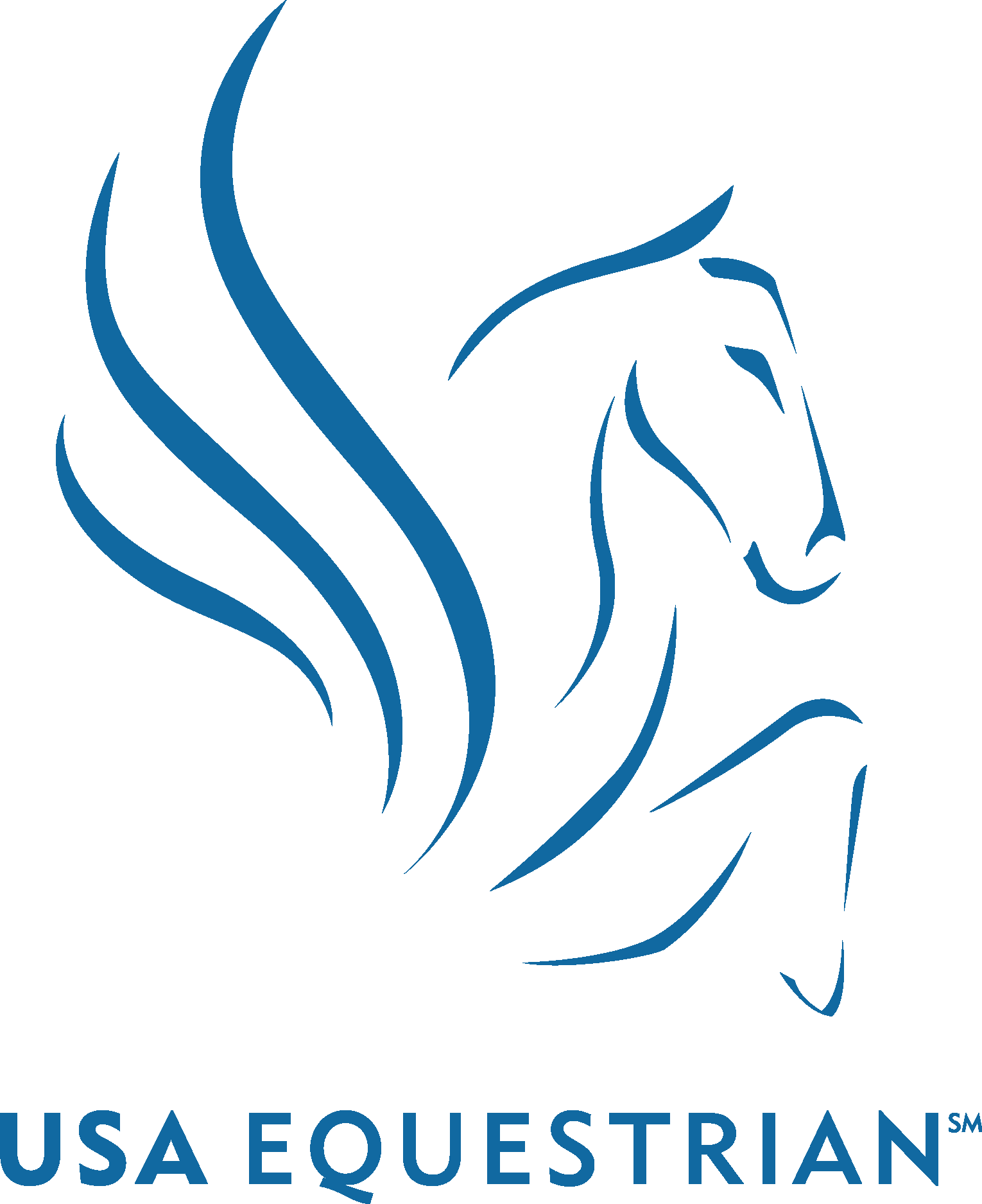 USA Equestrian Logo Vector Logo